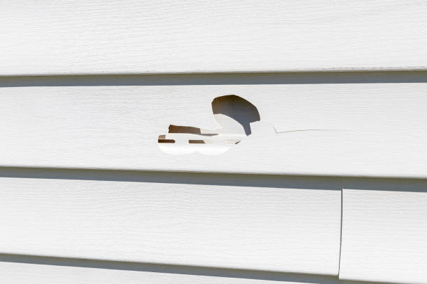 Best Residential Vinyl Siding Installation  in Florence, CO